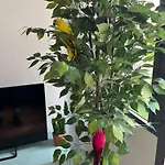 Lägenhet Enjoy 3-palacio De Aguila *