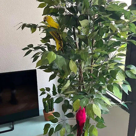 Apartman Enjoy 3-palacio De Aguila *