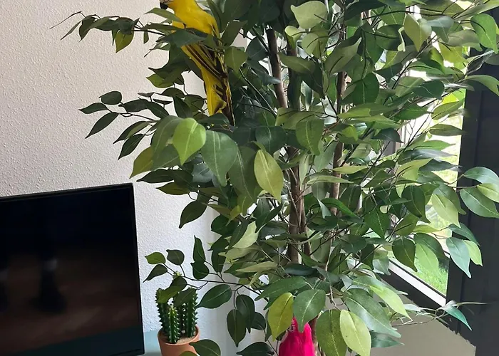 아파트 Enjoy 3-palacio De Aguila *